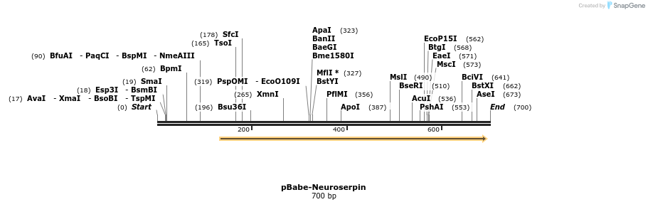 93815_map