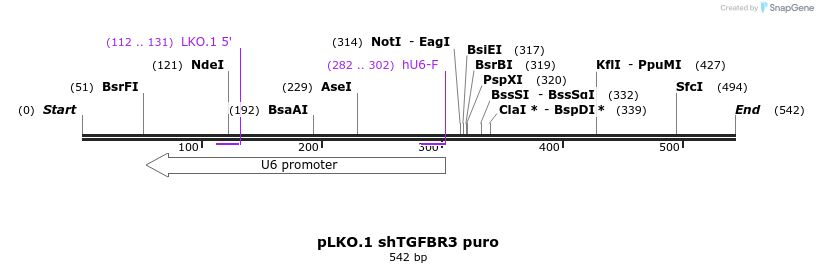 93816_map