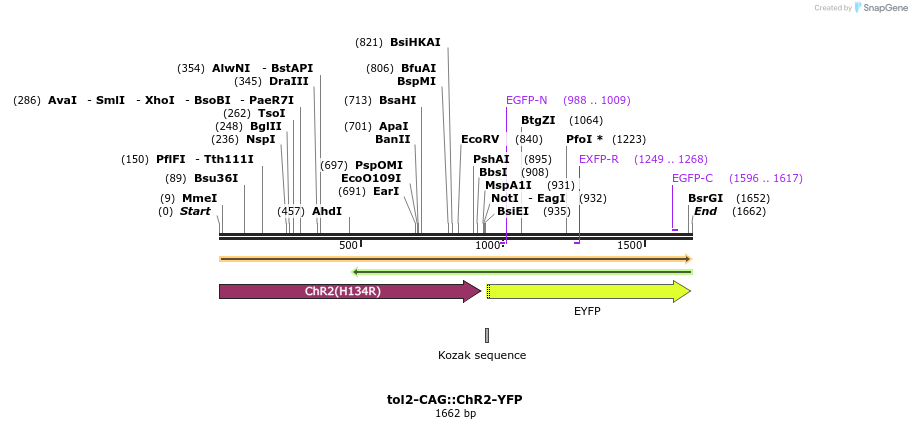 93818_map