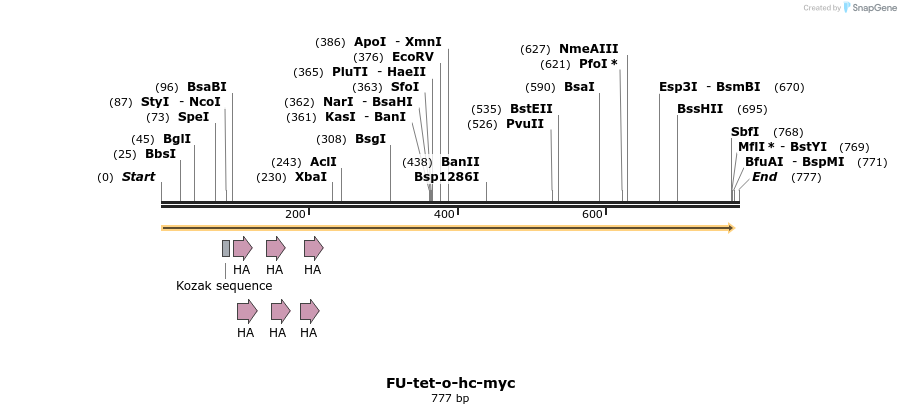 93822_map