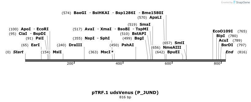 93823_map