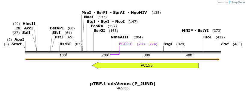 93825_map