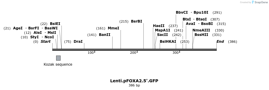 93832_map