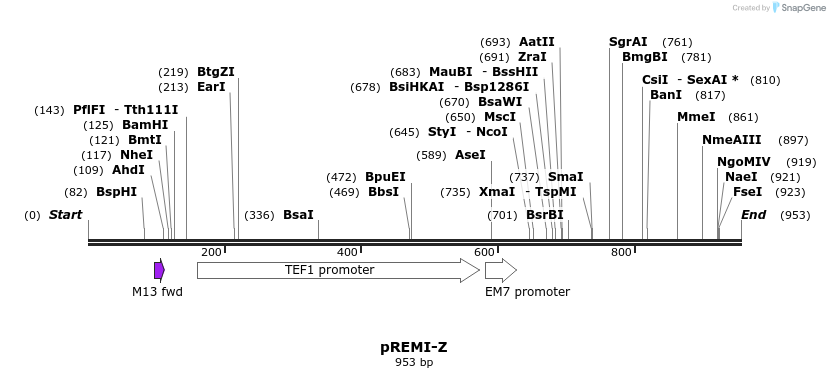 93834_map