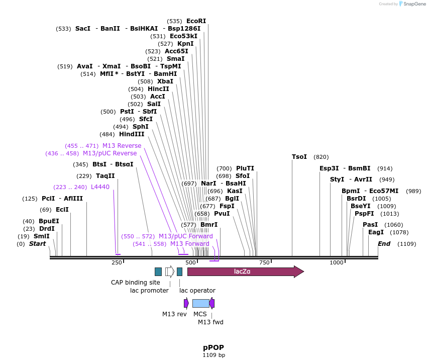 93838_map