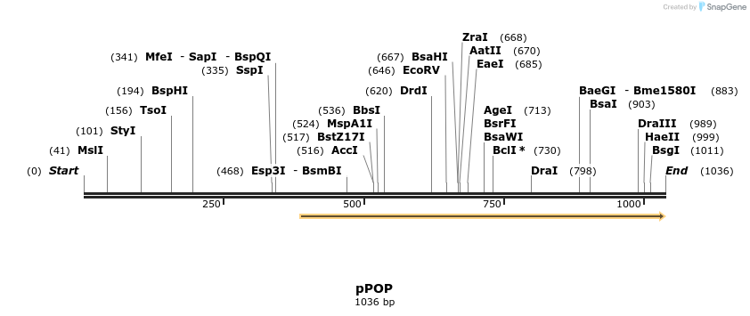 93839_map