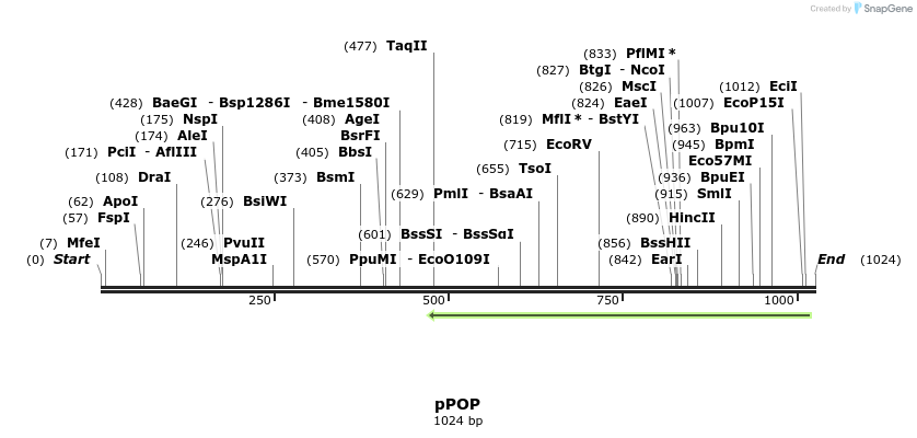 93840_map
