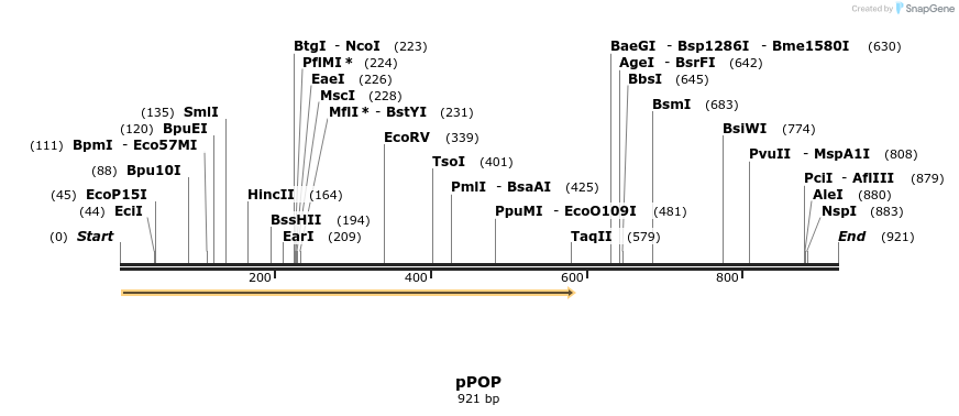 93842_map