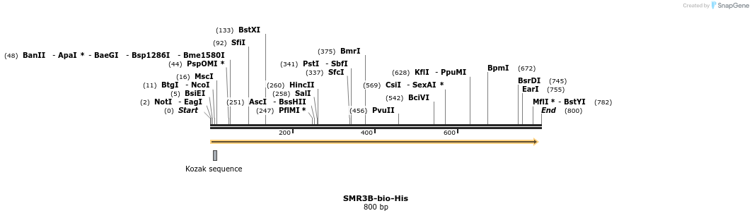 93843_map