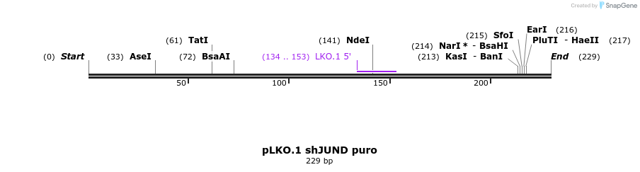 93845_map