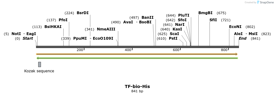 93847_map