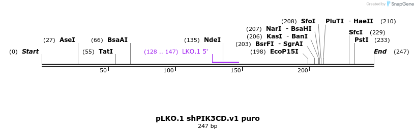 93848_map