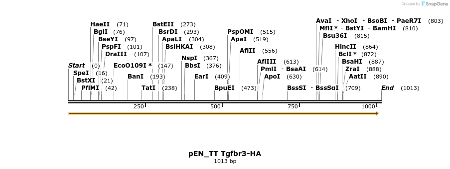 93851_map