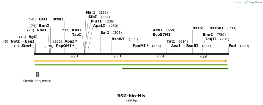 93852_map