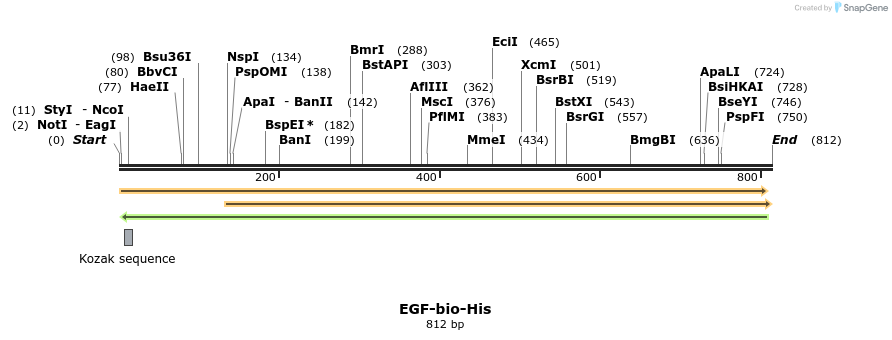 93856_map
