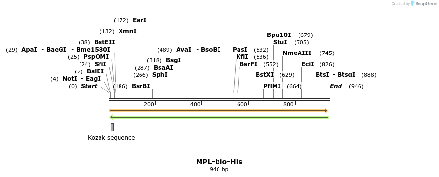 93857_map