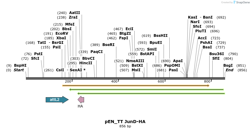 93860_map