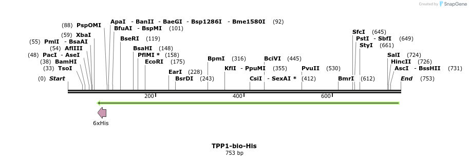 93861_map