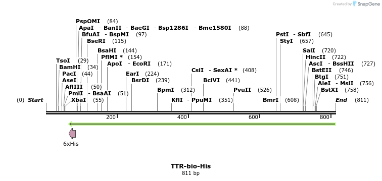 93862_map