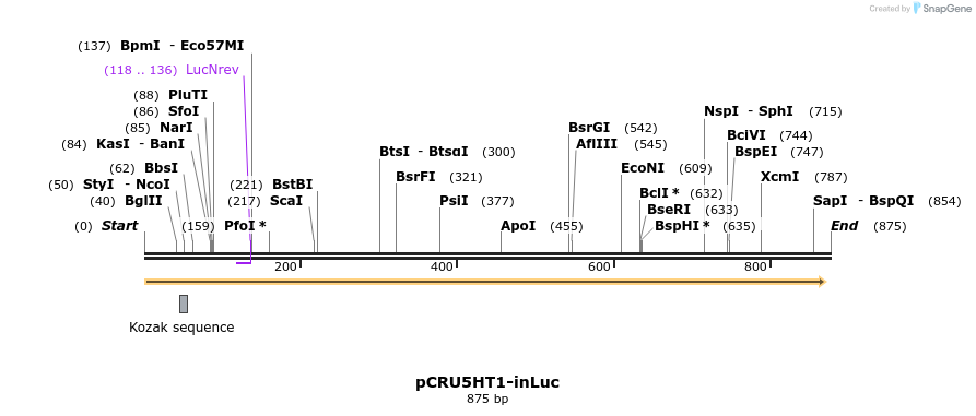 93863_map