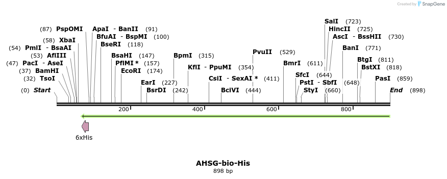 93864_map