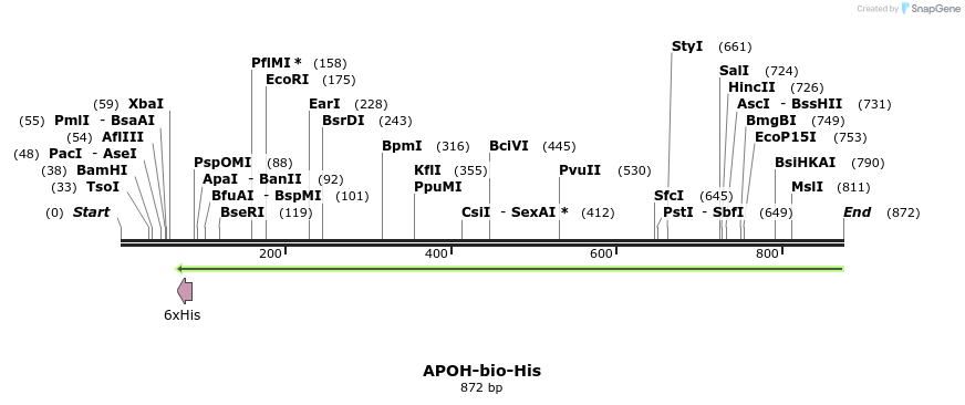 93865_map