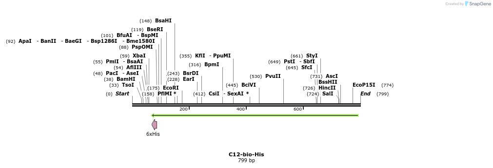 93866_map