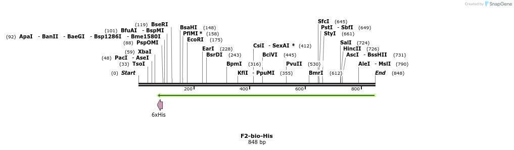 93868_map