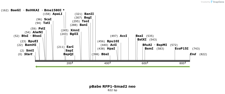 93869_map