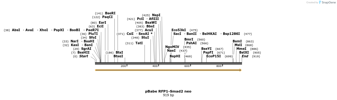 93871_map