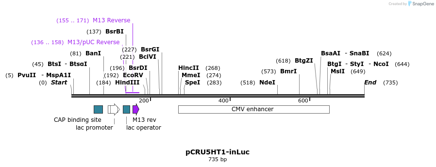 93873_map