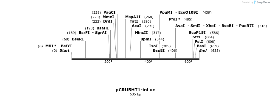 93877_map