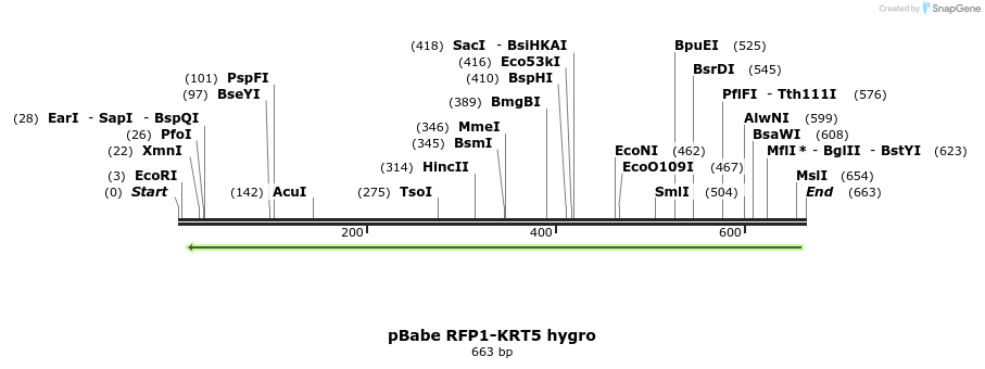 93879_map