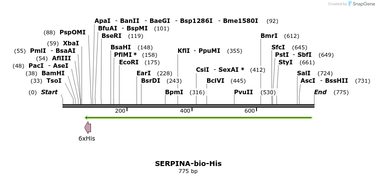 93880_map