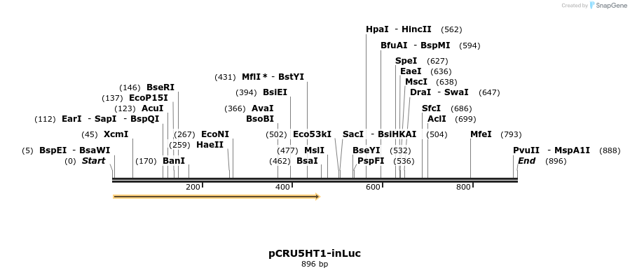 93881_map