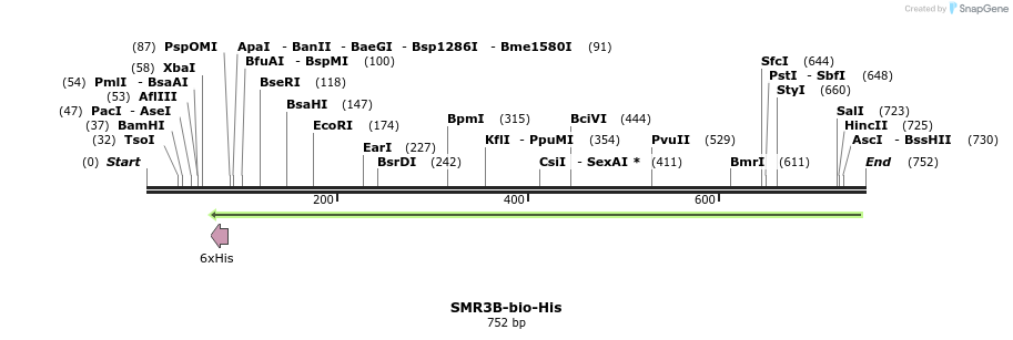 93882_map