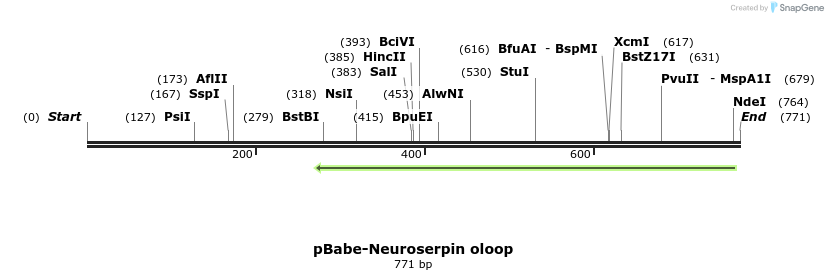 93884_map