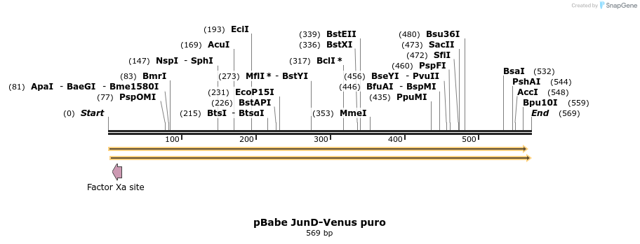 93889_map