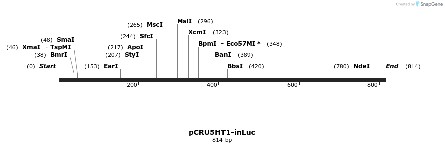 93890_map