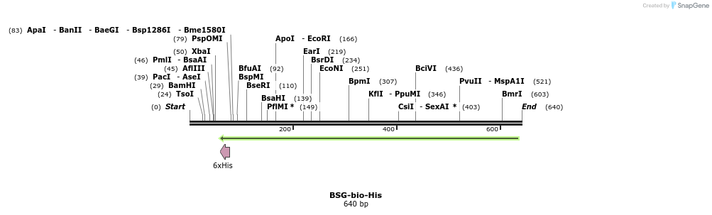 93891_map