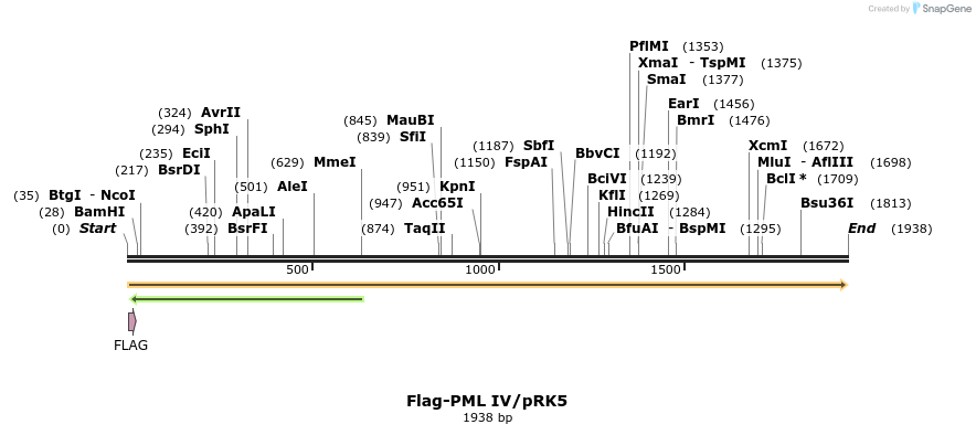 93893_map
