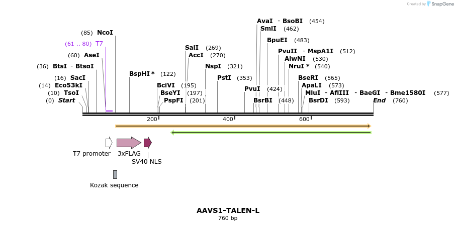 93895_map