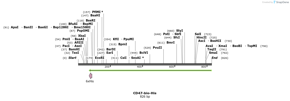 93899_map