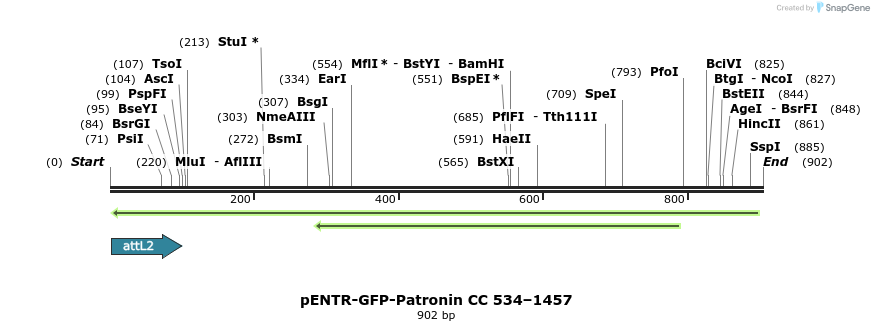 93901_map