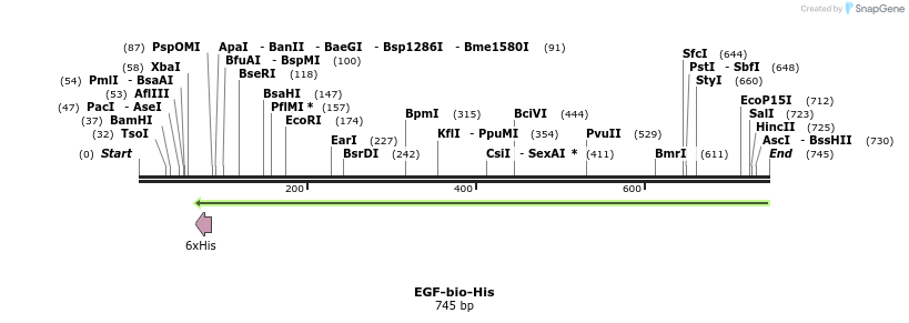93906_map