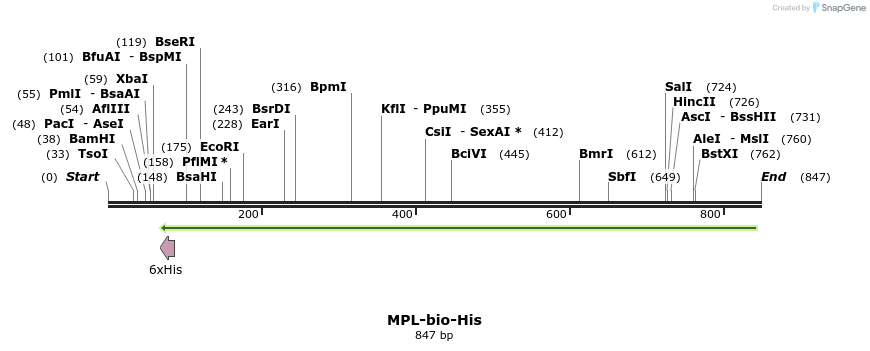 93908_map