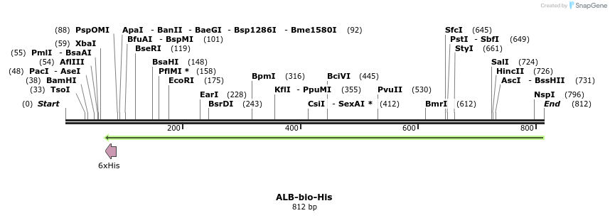 93909_map
