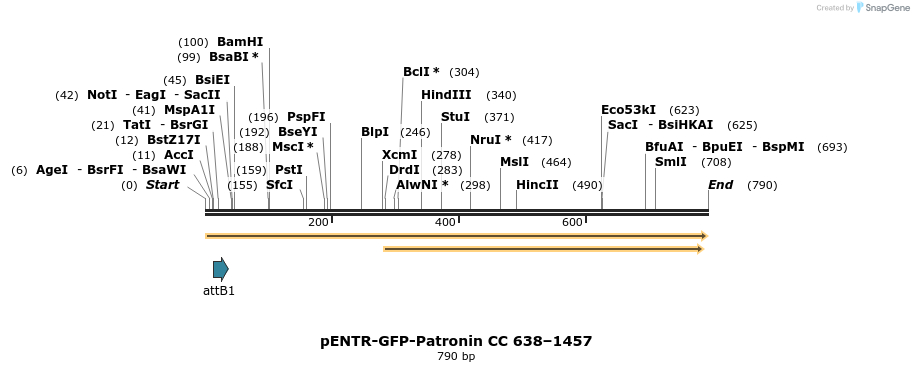 93911_map