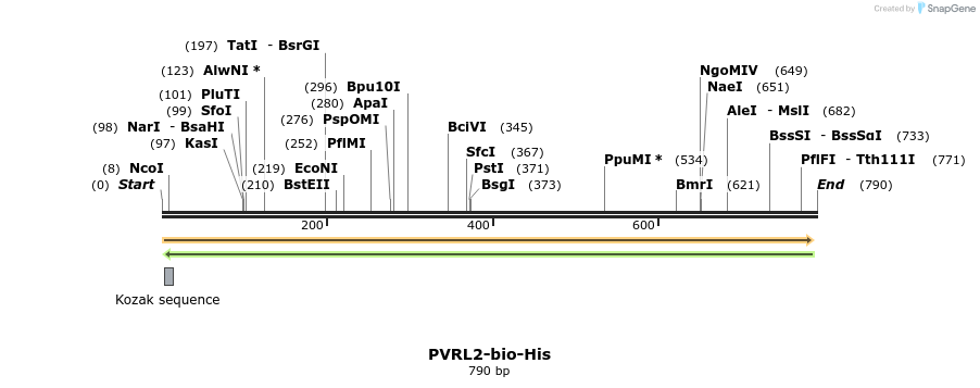 93912_map