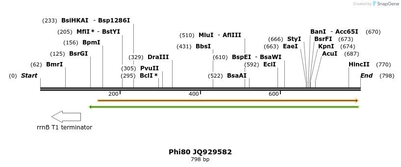 93913_map